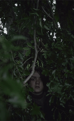 Games Game of thrones Tv Gifs 