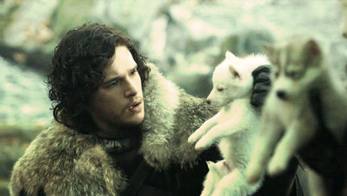 Games Game of thrones Tv Gifs parken en recreatie Rashida Jones retta 
