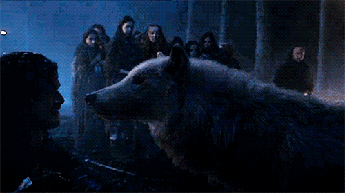 Games Game of thrones Gifs ander en pizza 