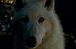Game Of Thrones GIF. Games Game of thrones Gifs Got 