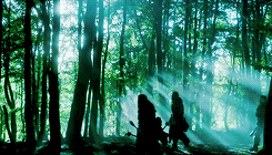 Game Of Thrones GIF. Bioscoop Televisie Games Game of thrones Gifs 4 Sansa stark Sophie turner 