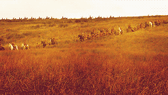 Game Of Thrones GIF. Games Game of thrones Tv Gifs Hbo Arya stark Got Maisie williams Joe dempsie Gendry 