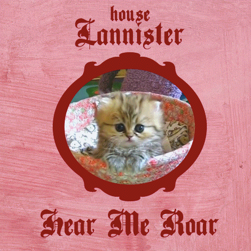 Bioscoop Games Game of thrones Gifs 4 Arya Stark Maise williams hield haar in deze ep en iedere 