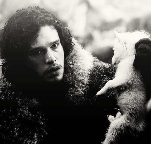 Games Game of thrones Tv Gifs hbo shirtless Robb Stark zweterig 
