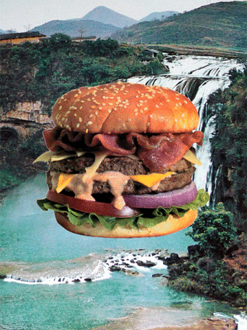 Eten en drinken Brood Salade Voedsel Gifs Hamburger junk food vet spek lekker eten 