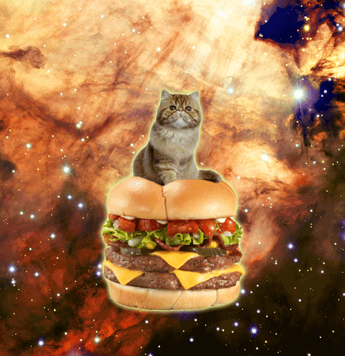Eten en drinken Ruimte Gifs Hamburger 