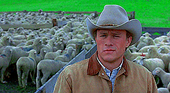 Heath Ledger GIF. Gifs Filmsterren Heath ledger A knights tale 