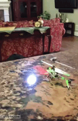 Dieren Helikopter Gifs Hond speelbal vs 