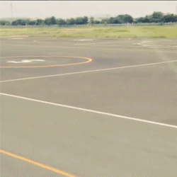Honden GIF. Dieren Lol Helikopter Gifs Hond 
