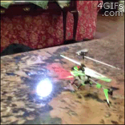 Dieren Lol Helikopter Gifs Hond 