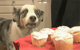 Macaulay Culkin GIF. Films en series Home alone Gifs Filmsterren Macaulay culkin 