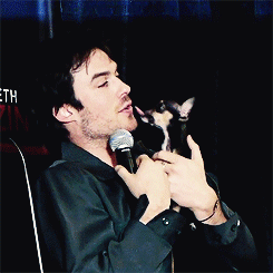 Ian Somerhalder GIF. Gifs Filmsterren Ian somerhalder Comic con Melissa benoist Sdcc2015 Mbenoistedit Super meid Jeremy jo 