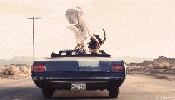 Iggy Azalea GIF. Artiesten Gifs Iggy azalea Work Iggy 
