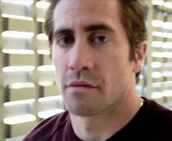 Jake Gyllenhaal GIF. Gifs Filmsterren Jake gyllenhaal Lus Nightcrawler 