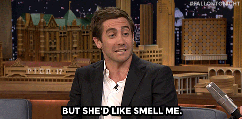 Sexy Gifs Filmsterren Jake gyllenhaal strip Vampire Weekend het opgeven van het pistool 