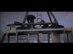 Jaws GIF. Films en series Gifs Jaws 