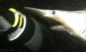 Films en series Gifs Jaws wtf griezelig oog monster goed 