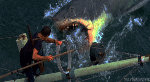 Bioscoop Vis Film Films en series Gifs Jaws haai afgrijzen eng bijten steven spielberg 