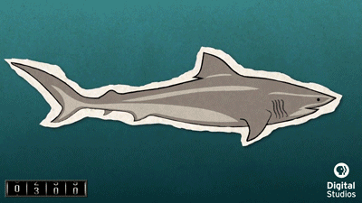 Haaien Films en series Gifs Jaws wetenschap 