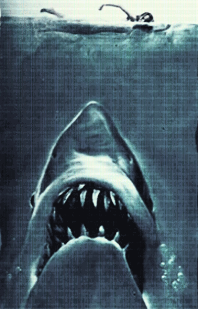 Bioscoop Film Films en series Gifs Jaws haai eng steven spielberg 