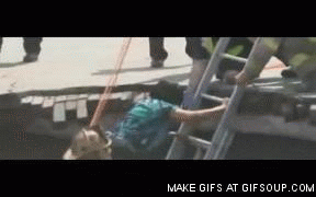 Jaws GIF. Haaien Films en series Gifs Jaws Wetenschap 