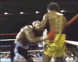 Jaws GIF. Films en series Wil Gifs Jaws Heet Fitblr Drop Passen Hun 