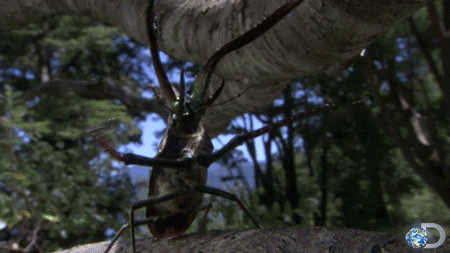 Films en series James bond Gifs Jaws glimlach 
