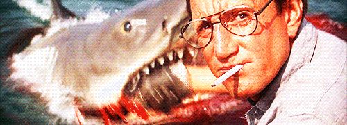 Films en series Gifs Jaws haai steven spielberg 