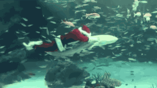 Cupido Films en series Gifs Jaws op komeet donner 
