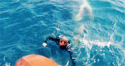 Jaws GIF. Films en series Tv Gifs Jaws 