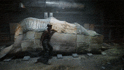 Jaws GIF. Haaien Films en series Gifs Jaws Wetenschap 