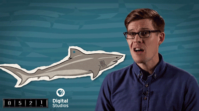 Haaien Films en series Gifs Jaws wetenschap 