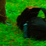 Jennifer Lawrence GIF. Gifs Filmsterren Jennifer lawrence 