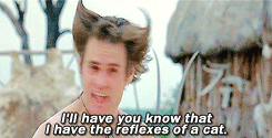 Jim Carrey GIF. Kat Ace ventura Gifs Filmsterren Jim carrey Reflexen 