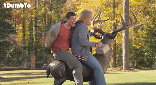 Jim Carrey GIF. Grappig Liefde Gifs Filmsterren Jim carrey Hou van me Bruce almighty 