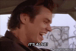 Jim Carrey GIF. Film Jim Verschillend Gifs Filmsterren Jim carrey Natalie portman Eng 