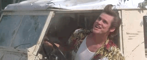 Jim Carrey GIF. Liefde Gifs Filmsterren Jim carrey The mask Onderscheiding Jij houdt van mij 