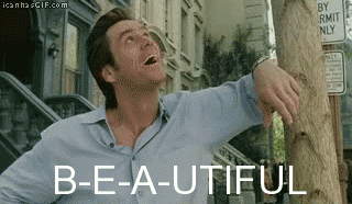 Jim Carrey GIF. Bang Advocaat Gifs Filmsterren Jim carrey Reactie Liar liar 