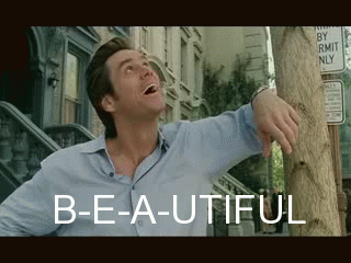 Jim Carrey GIF. Geboorte Neushoorn Ace ventura Gifs Filmsterren Jim carrey Bruto Vreemd 