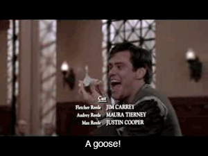 Jim Carrey GIF. Gifs Filmsterren Jim carrey Bloopers Liar liar 