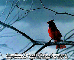 Johnny Depp GIF. Johnny depp Gifs Filmsterren 