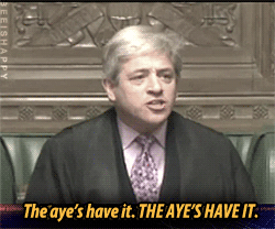 Jon Stewart GIF. Gifs Filmsterren Jon stewart Opgewonden Reacties Fangirl Fangirling 
