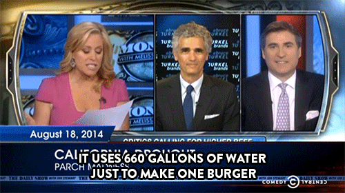 Jon Stewart GIF. Verward Gifs Filmsterren Jon stewart Wat Huh 