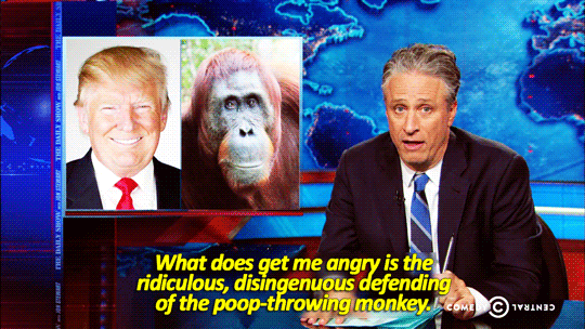 Jon Stewart GIF. Gifs Filmsterren Jon stewart Opgewonden Reacties Fangirl Fangirling 