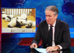 Jon Stewart GIF. Gifs Filmsterren Jon stewart Geamuseerd Popcorn 