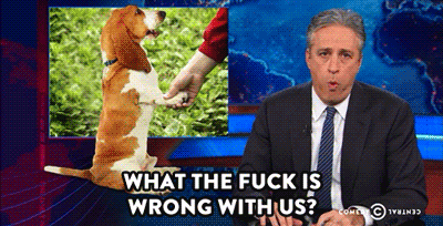 Jon Stewart GIF. Drinken Alcohol Gifs Filmsterren Jon stewart Ellen degeneres Margarita Happy hour 