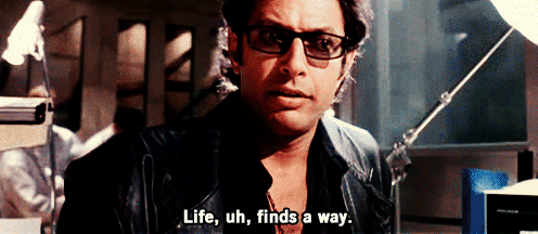 Films en series Jurassic park Gifs leven jeff goldblum 