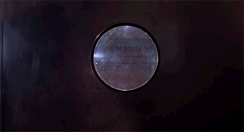Films en series Jurassic park Roofvogel Gifs dickbutt 