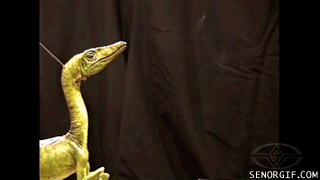 Films en series Jurassic park Gifs 