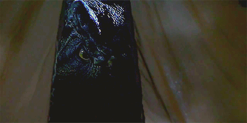 Films en series Jurassic park Gifs jeff goldblum editingandlayout Verkopen 